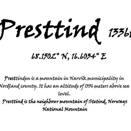 Presttind - Studio Apartment With Free Parking Narvik Ngoại thất bức ảnh